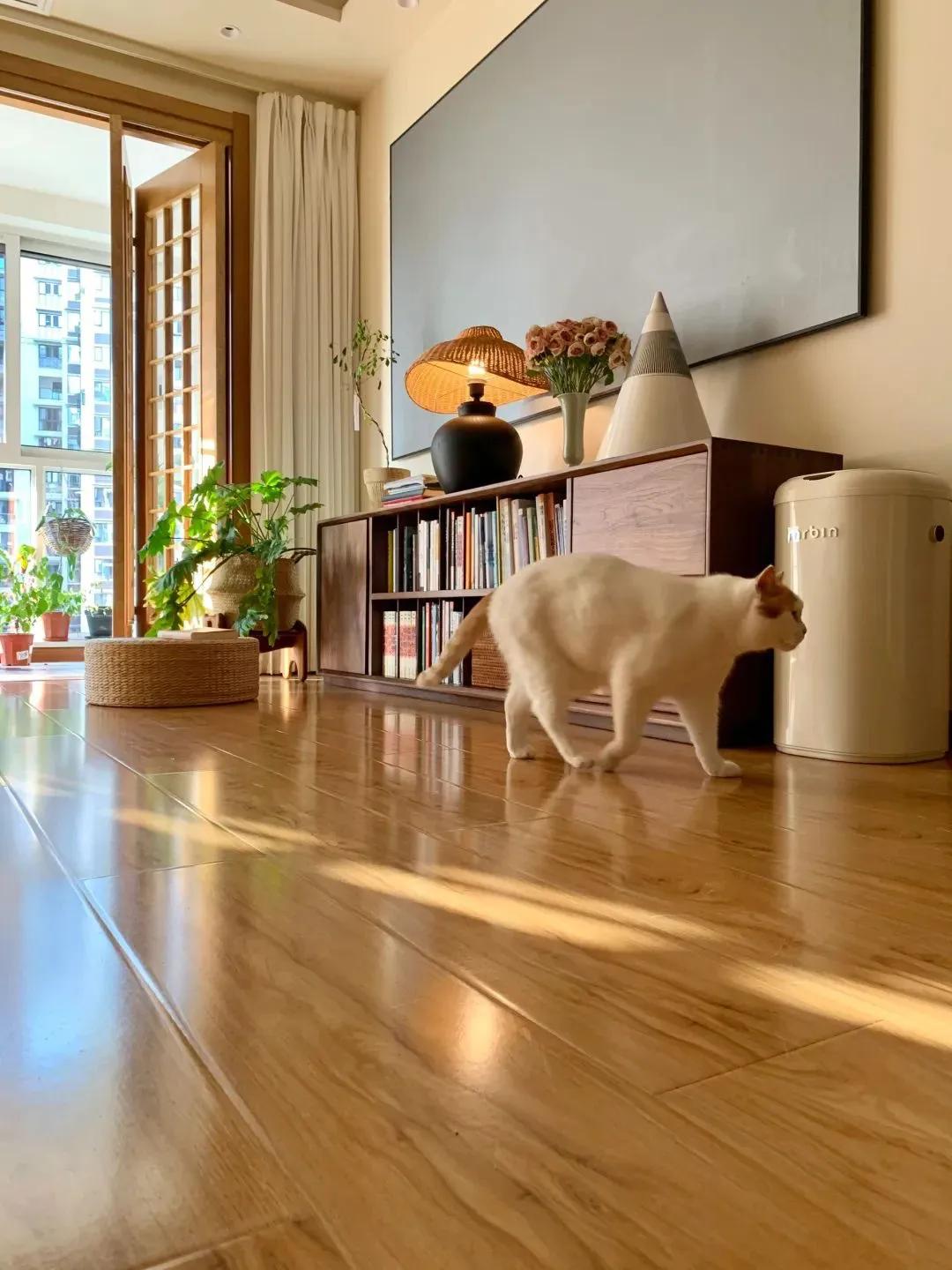 Không mua sắm, không tụ tập: Nữ giáo viên khiến mạng xã hội ngưỡng mộ chỉ nhờ một việc mỗi ngày- Ảnh 4.