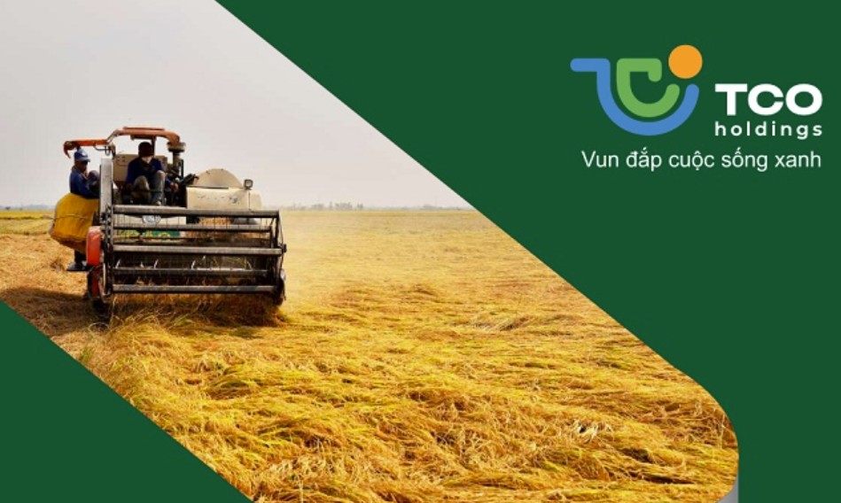 Biến động nhân sự tại TCO Holdings - Ảnh 1.