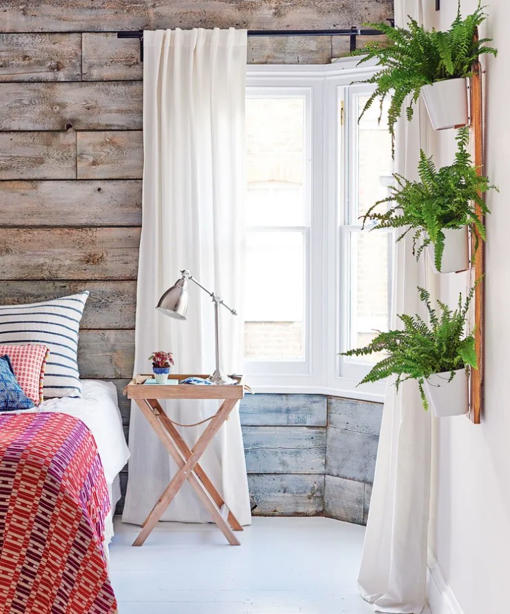 5 loại cây cảnh không nên mua kẻo phí tiền, phí sức - Ảnh 5.