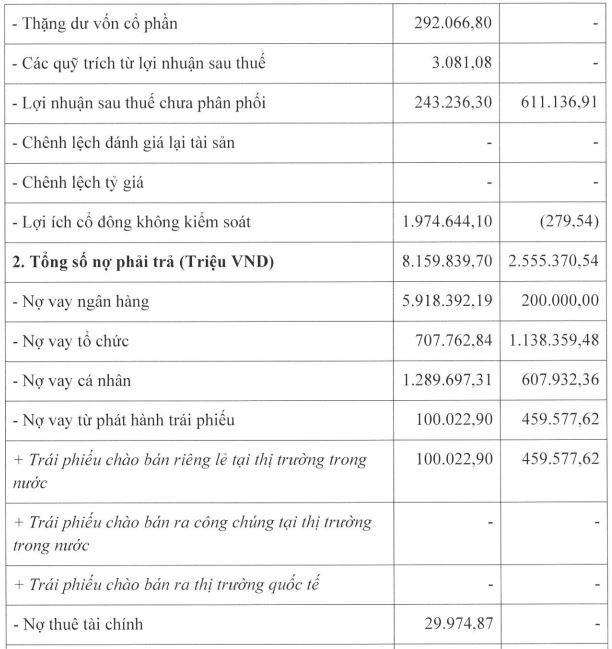 Cổ đông lớn nhất của DNSE báo lãi giảm, thu hẹp quy mô nợ vay - Ảnh 1.