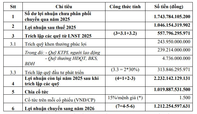 Lợi nhuận năm 2025 bứt phá, thu nhập lãnh đạo Đạm Phú Mỹ biến động ra sao?- Ảnh 2.