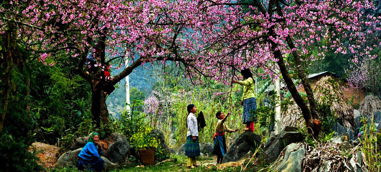 Không phải Bali hay Chiang Mai, báo Tây gọi tên một nơi ở Việt Nam là điểm chữa lành đáng ghé nhất 2026 - Ảnh 3.