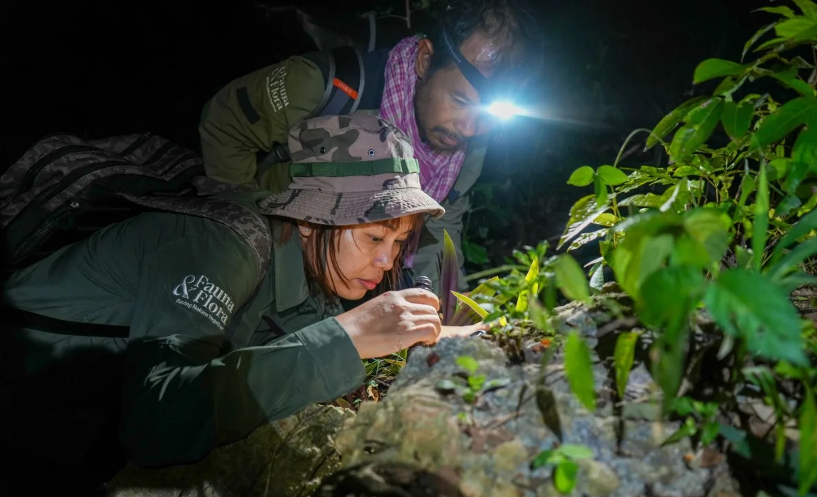 Một loạt sinh vật chưa từng biết lộ diện từ hang động Campuchia - Ảnh 1.