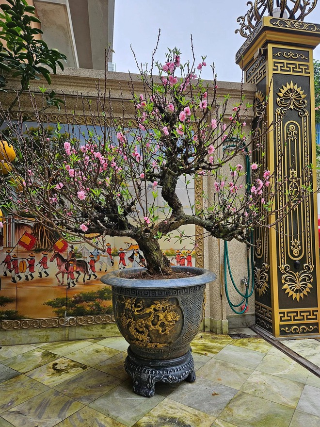 Nam NSND mang hàm Đại tá, cưới vợ đẹp kém 13 tuổi: U60 sống bình yên trong biệt thự bề thế ở Hà Nội- Ảnh 6.