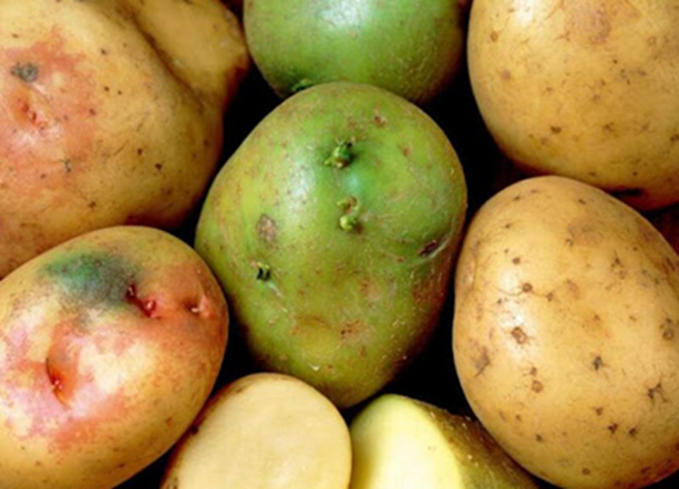 2 vợ chồng cùng lúc phát hiện ung thư gan, bác sĩ lắc đầu: 4 thực phẩm để lâu trong tủ lạnh sẽ "nuôi tế bào ung thư" - Ảnh 4.