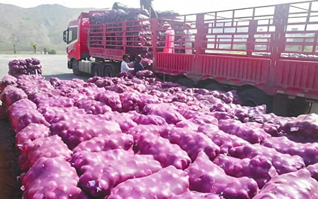 photo-1772615247673 photo-1772615247673