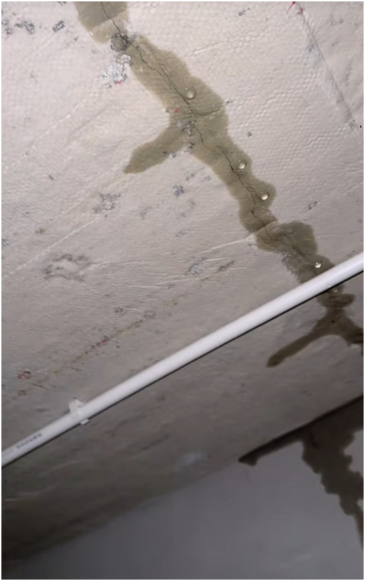 Nấu tôm hùm, vịt quay đãi thợ xây trong 3 tháng, mới dọn vào ở đã nứt trần, mưa dột xối xả: TikToker miền Tây "khóc ròng"!- Ảnh 5.