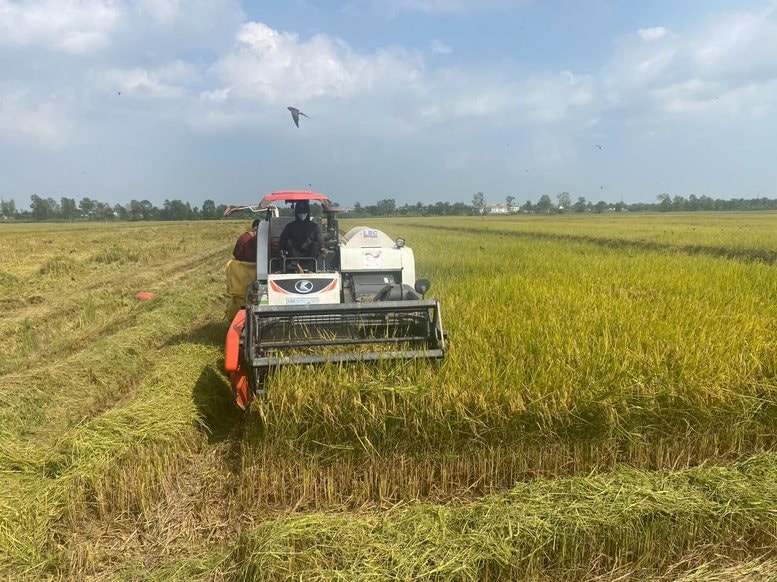 VN làm thành công dự án đầu tiên trên TG trong lĩnh vực nuôi sống một nửa nhân loại: Vừa áp dụng robot AI- Ảnh 3.