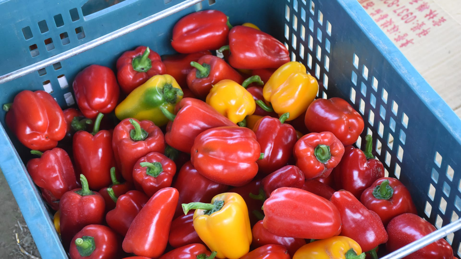 Tiểu thương chợ nói thật: 5 loại rau “đẹp long lanh” này tôi còn không dám ăn, nhiều người lại mua mỗi ngày- Ảnh 1.