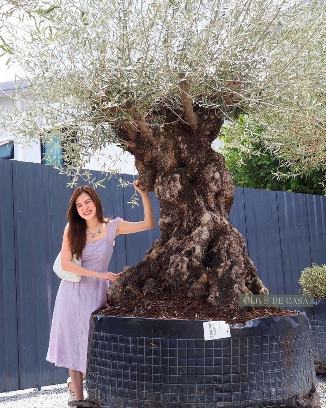 Đại mỹ nhân ở dinh thự 55 tỷ, mê “trồng rau nuôi cá”: Vibe chữa lành mạnh mẽ tràn màn hình- Ảnh 16.