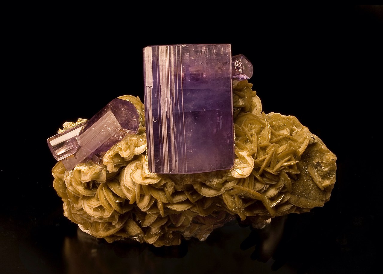 Nga sở hữu "kho báu" có thể nắm vận mệnh an ninh lương thực toàn cầu- Ảnh 4.