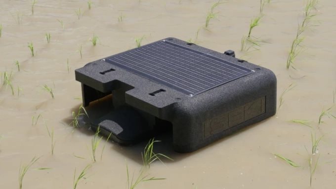 VN làm thành công dự án đầu tiên trên TG trong lĩnh vực nuôi sống một nửa nhân loại: Vừa áp dụng robot AI- Ảnh 1.