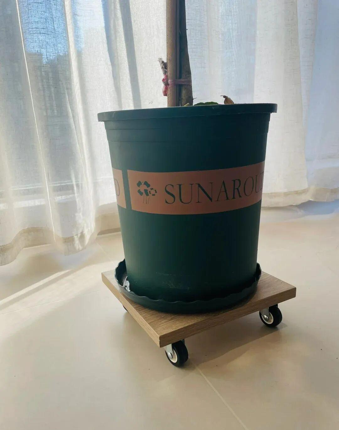 Tôi học cách dọn nhà của giới trẻ và nhận ra: Chỉ cần đổi tư duy, việc nhà giảm một nửa mà nhà vẫn gọn gàng mỗi ngày- Ảnh 6.