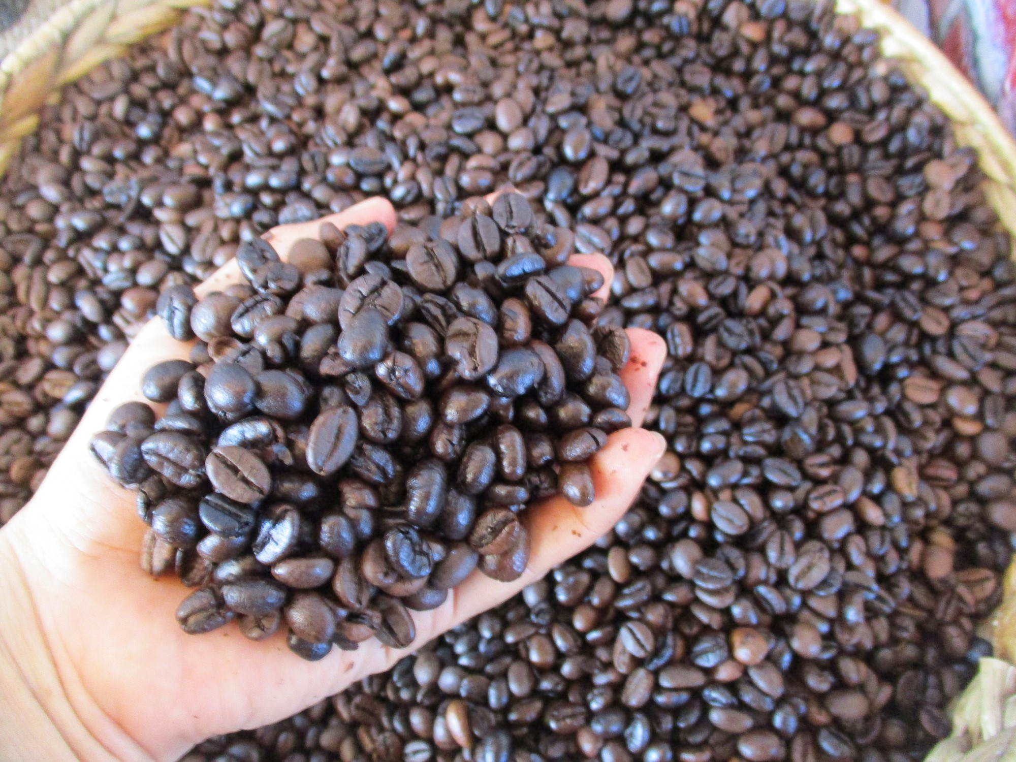 Giá cà phê hôm nay 6-3: Tăng tiếp, giá cà phê xuất khẩu vẫn hơn 4.000 USD/tấn - Ảnh 2.