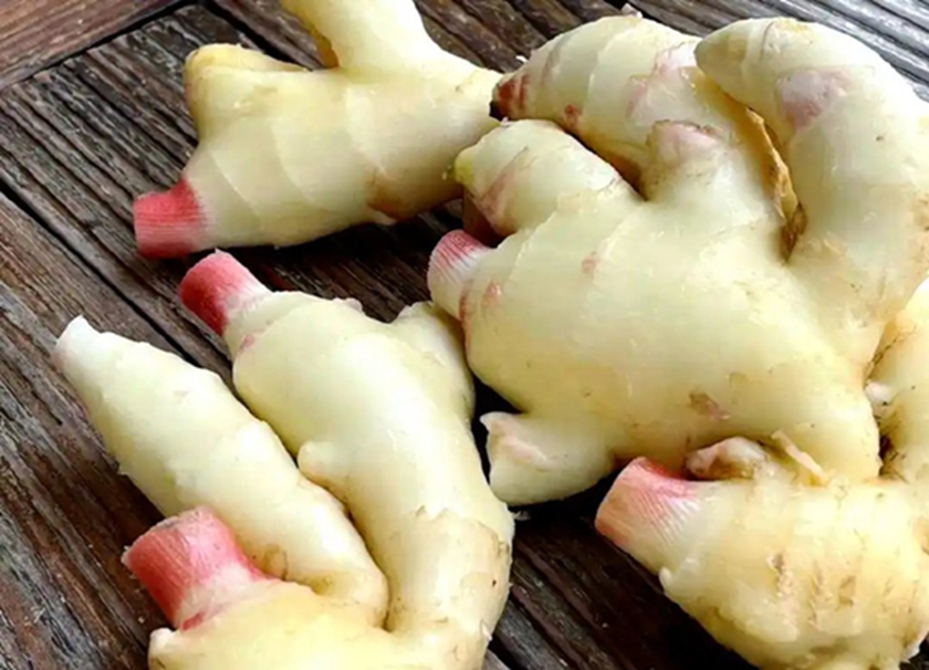 Đi chợ thấy 7 loại rau này phải mua ngay, cực ít thuốc trừ sâu, giá bao nhiêu cũng đáng tiền- Ảnh 2.