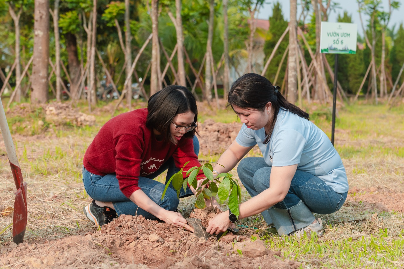 SJ Group kiến tạo di sản xanh, đầu tư cho cảnh quan tại Vista Nam An Khánh - Ảnh 2.