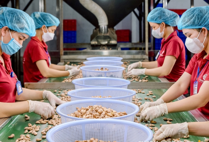 Doanh nghiệp xuất khẩu căng mình ứng phó rủi ro từ chiến sự Trung Đông- Ảnh 1.