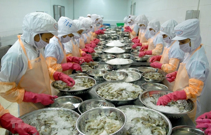 Doanh nghiệp xuất khẩu căng mình ứng phó rủi ro từ chiến sự Trung Đông- Ảnh 3.