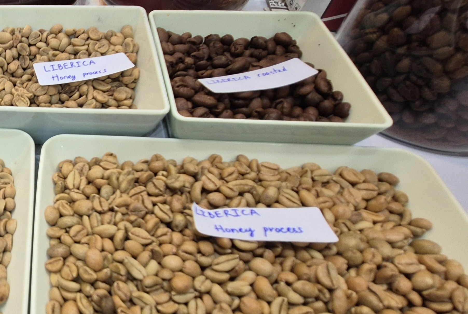 Giá cà phê hôm nay 2026: Tăng mạnh , cà phê mít hấp dẫn thị trường - Ảnh 3.