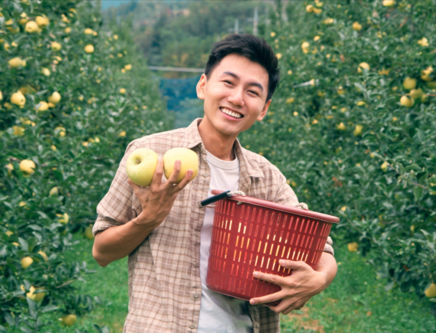 Lý do Khoai Lang Thang bị công kích- Ảnh 2.