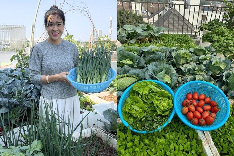 Mẹ đảm Hà Nội biến sân thượng tầng 5 thành "ốc đảo" rau trái xanh mướt- Ảnh 1.