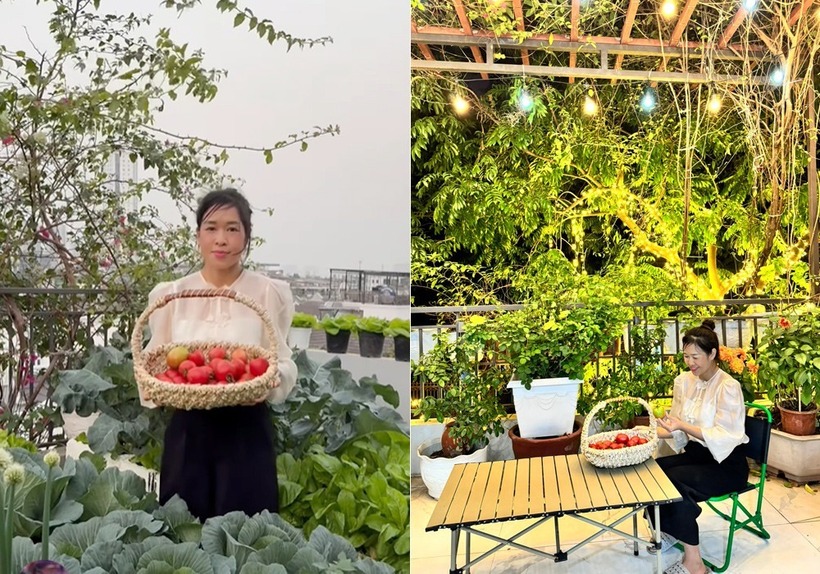 Mẹ đảm Hà Nội biến sân thượng tầng 5 thành "ốc đảo" rau trái xanh mướt- Ảnh 7.