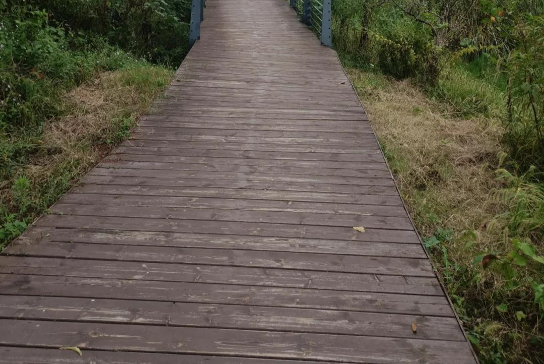 Bước vào tuổi 40: Tôi "dọn dẹp" lại 10 thói quen chi tiêu và tiết kiệm được hơn 1,1 tỷ đồng trong 5 năm- Ảnh 4.