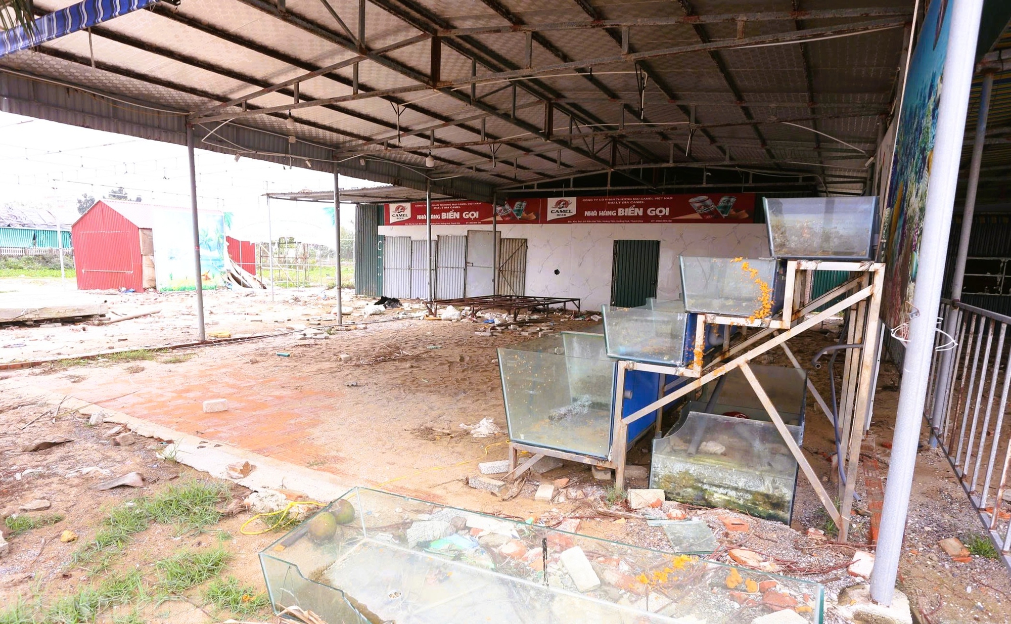 Sắp vào hè, bãi biển nổi tiếng ở Thanh Hóa vẫn tang hoang - Ảnh 11.