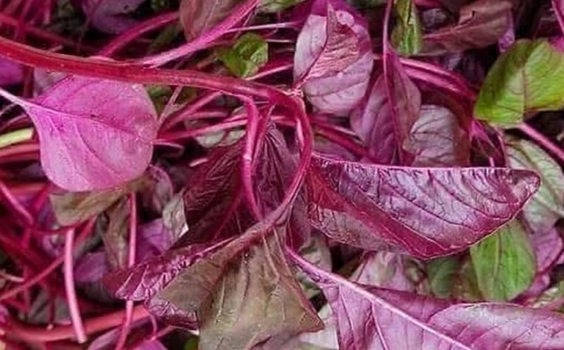 5 loại rau nhiều canxi hơn sữa, bán la liệt ở chợ Việt- Ảnh 1.