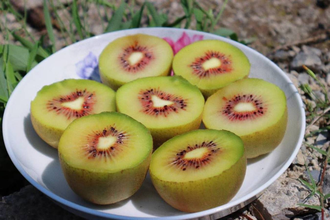 Loại quả được gọi là "trái cây ngủ", ăn một vài miếng mỗi ngày có thể giúp bạn ngủ ngon giấc đến tận sáng, chợ Việt bán rất nhiều- Ảnh 2.