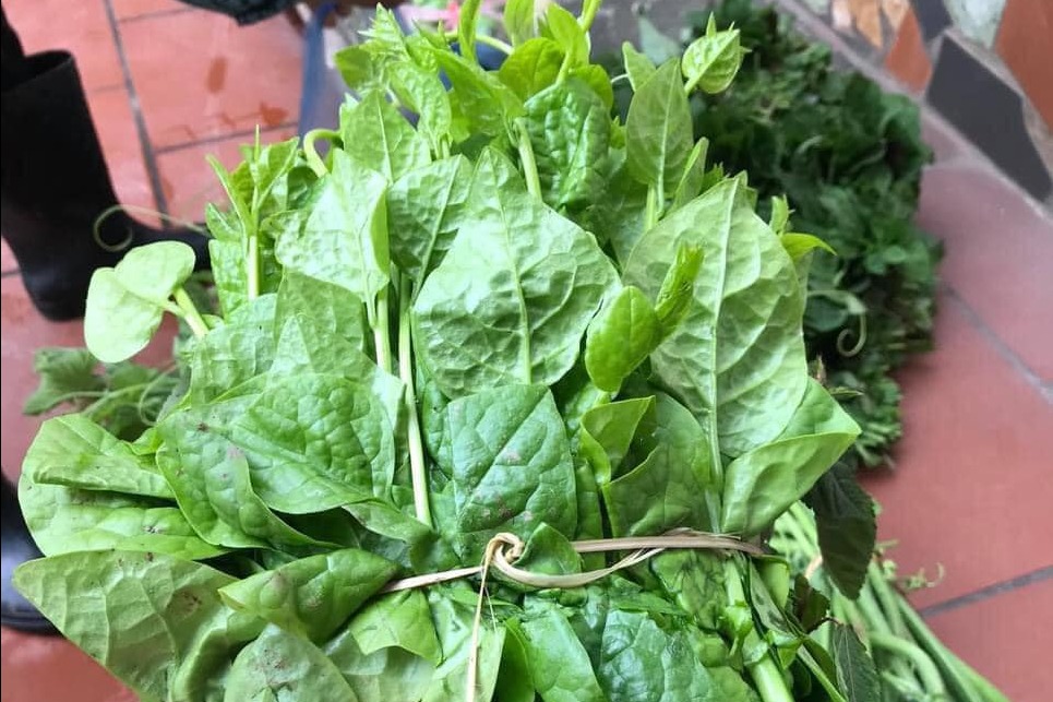 5 loại rau "bổ hơn thịt, rẻ hơn thuốc", bán đầy rẫy ở chợ Việt- Ảnh 4.
