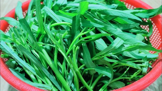 5 loại rau "bổ hơn thịt, rẻ hơn thuốc", bán đầy rẫy ở chợ Việt- Ảnh 5.