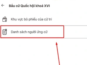 Cách tra cứu khu vực bỏ phiếu, danh sách ứng cử viên đại biểu Quốc hội ngay trên VNeID- Ảnh 3.