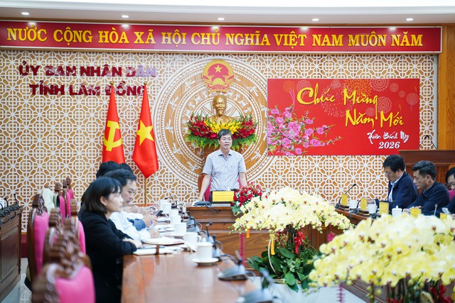 Tin vui tại dự án cao tốc 'xuyên rừng đẹp nhất' Việt Nam do Tập đoàn Sơn Hải thực hiện- Ảnh 1.