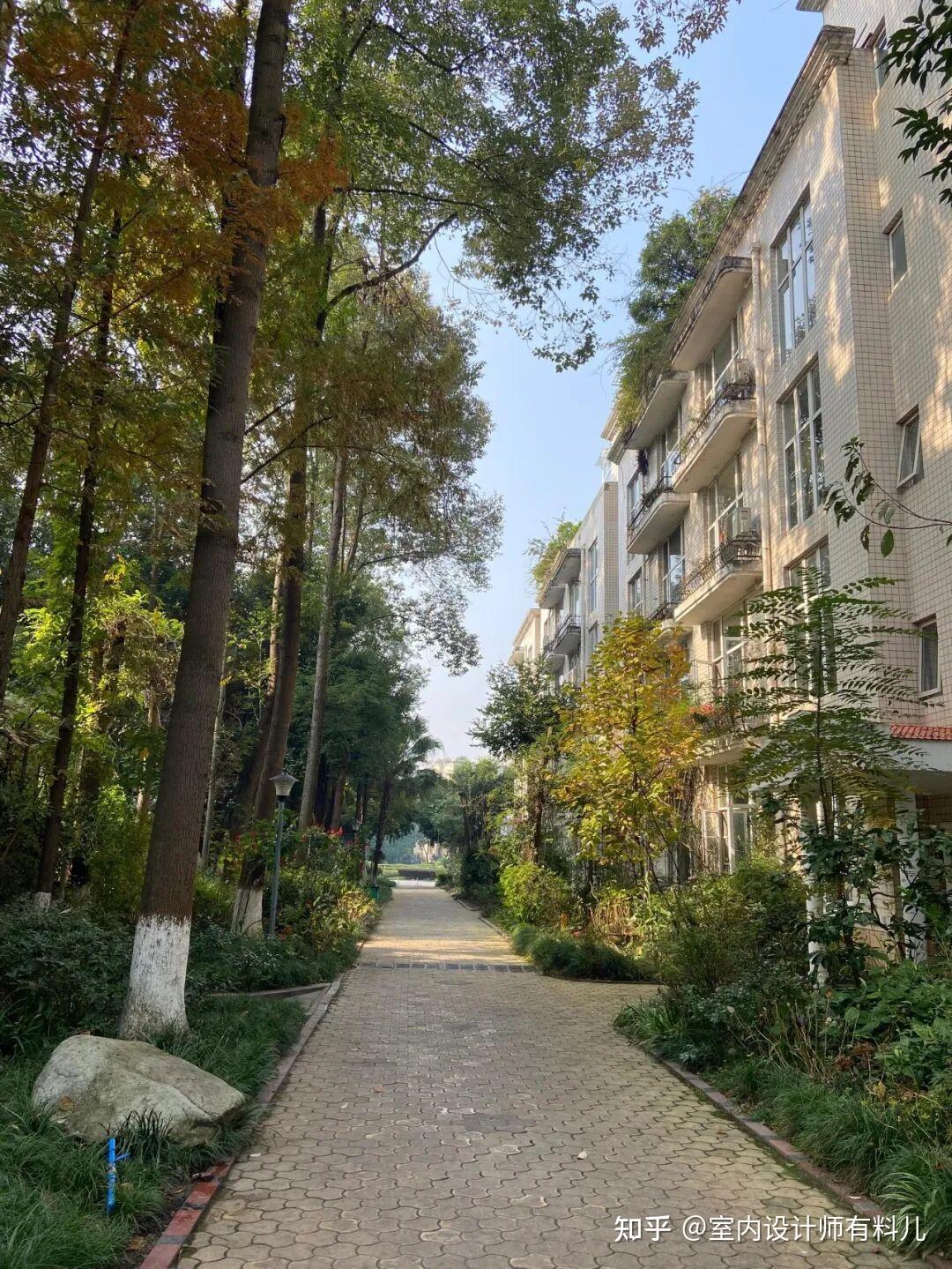 Ba năm sống ở tầng 33 khiến tôi phải bán nhà, chuyển xuống tầng 3 khu nhà tập thể mới thấy cuộc sống dễ chịu hơn- Ảnh 4.