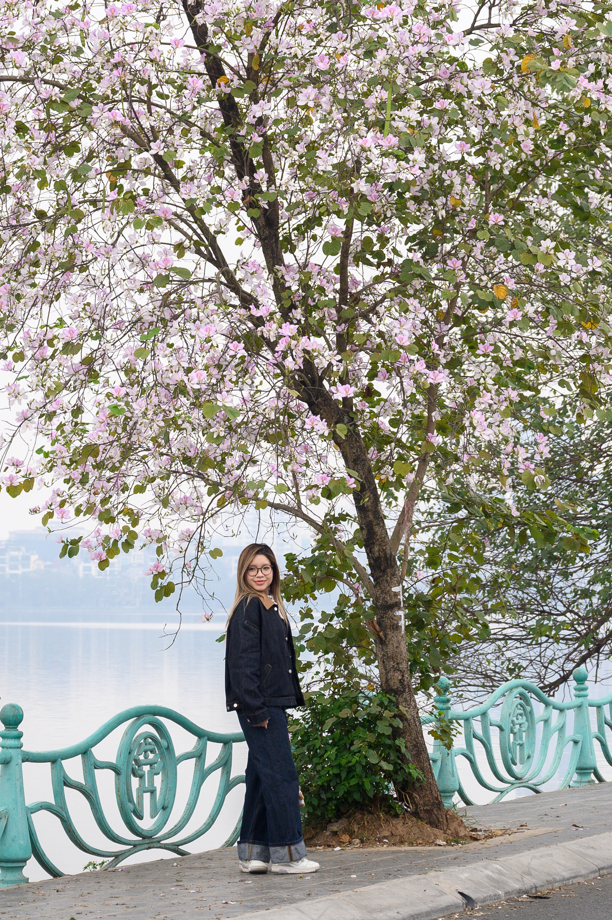 Cả Hà Nội phát sốt vì những cây hoa này: Chỗ đẹp như ngôn tình, nơi đã xác xơ - đi nhầm phí công vô ích!- Ảnh 13.