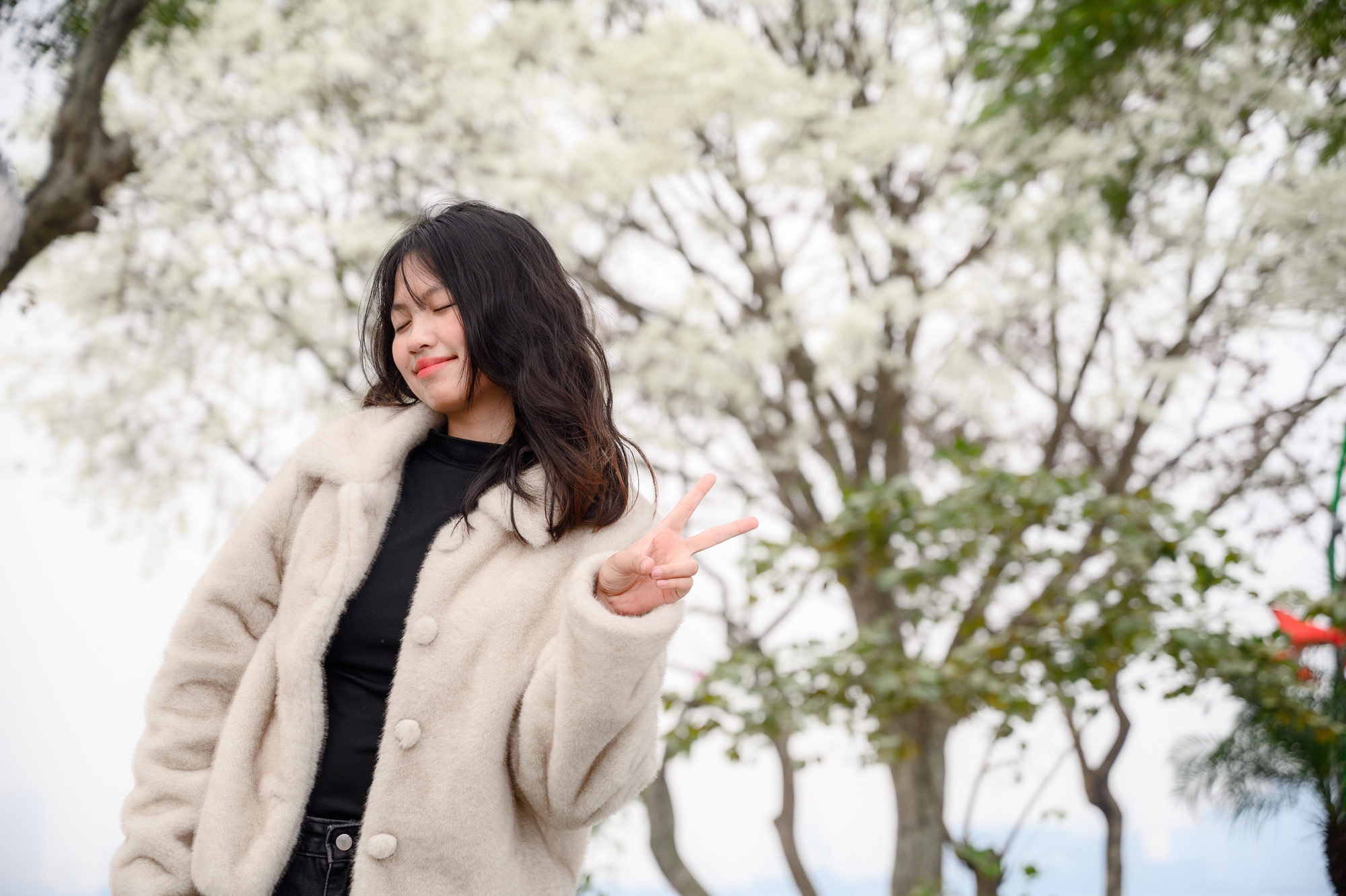 Cả Hà Nội phát sốt vì những cây hoa này: Chỗ đẹp như ngôn tình, nơi đã xác xơ - đi nhầm phí công vô ích!- Ảnh 7.