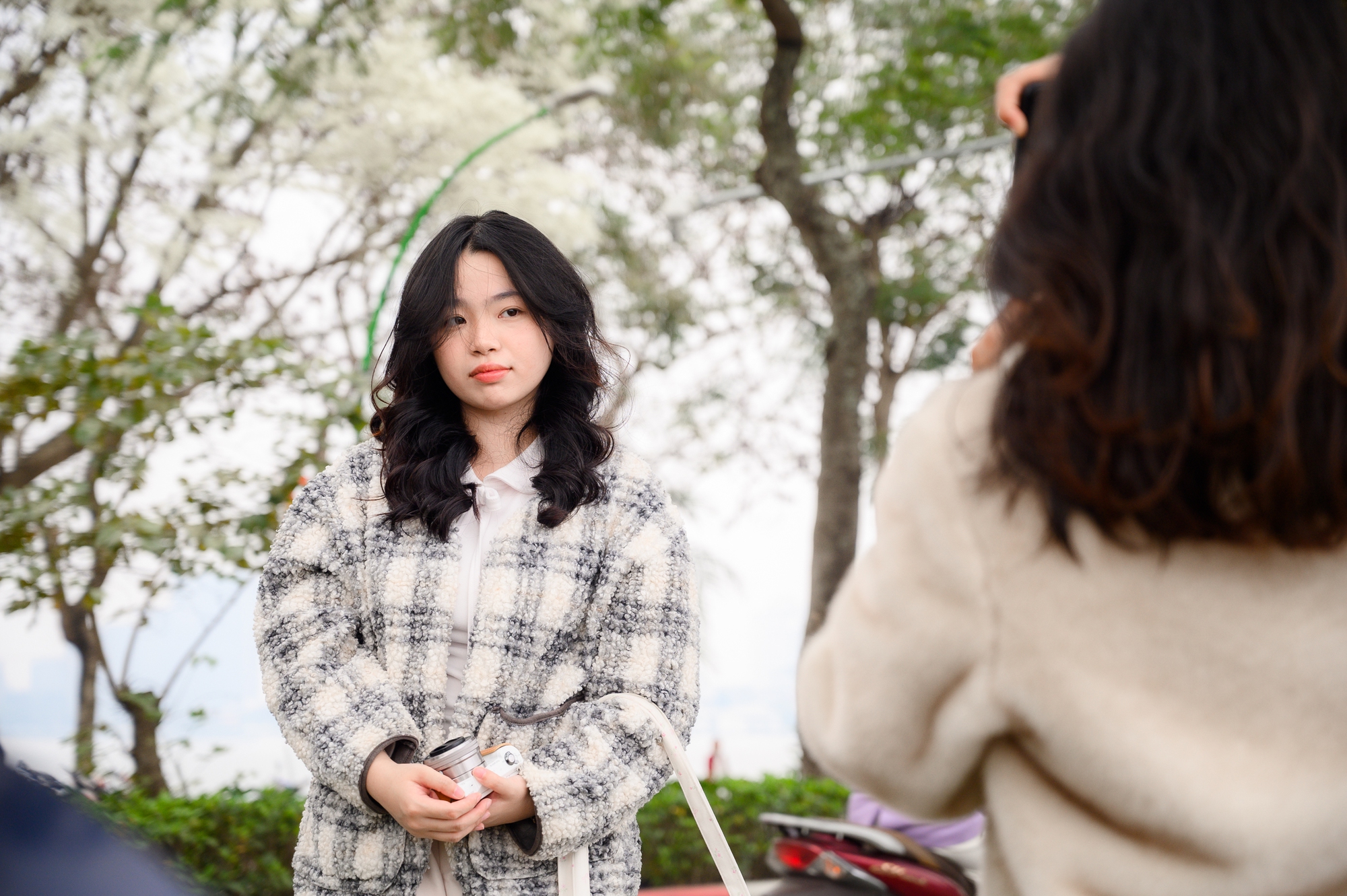 Cả Hà Nội phát sốt vì những cây hoa này: Chỗ đẹp như ngôn tình, nơi đã xác xơ - đi nhầm phí công vô ích!- Ảnh 8.