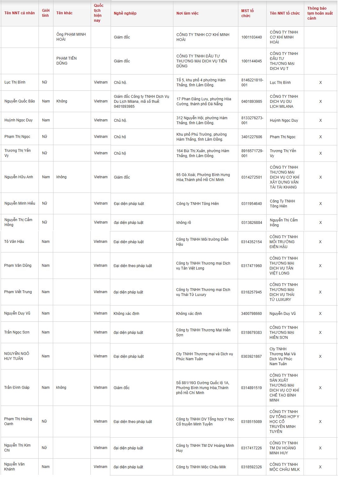 20 người nộp thuế có tên sau bị tạm hoãn xuất cảnh - Ảnh 2.