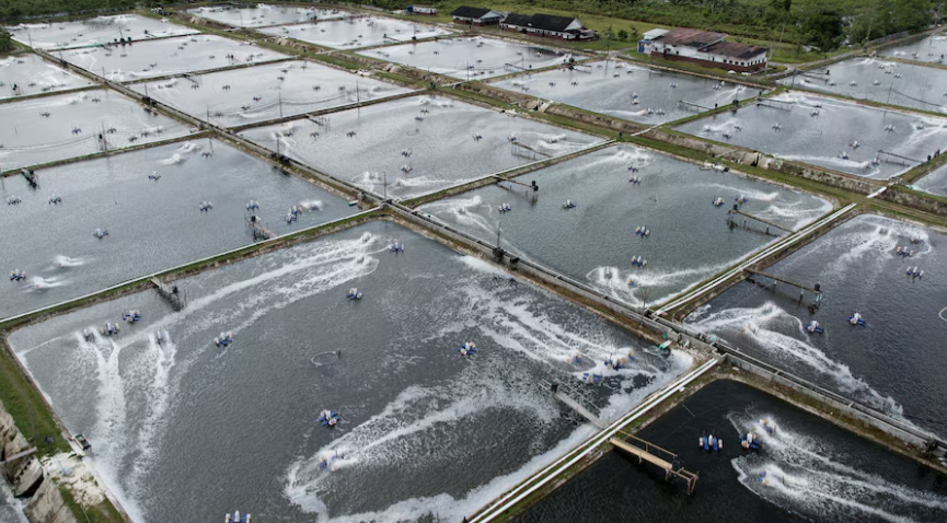 Không phải đất hiếm, Việt Nam vừa đón tin vui trăm triệu USD từ 3 ông lớn công nghệ của thế giới - Ảnh 1.