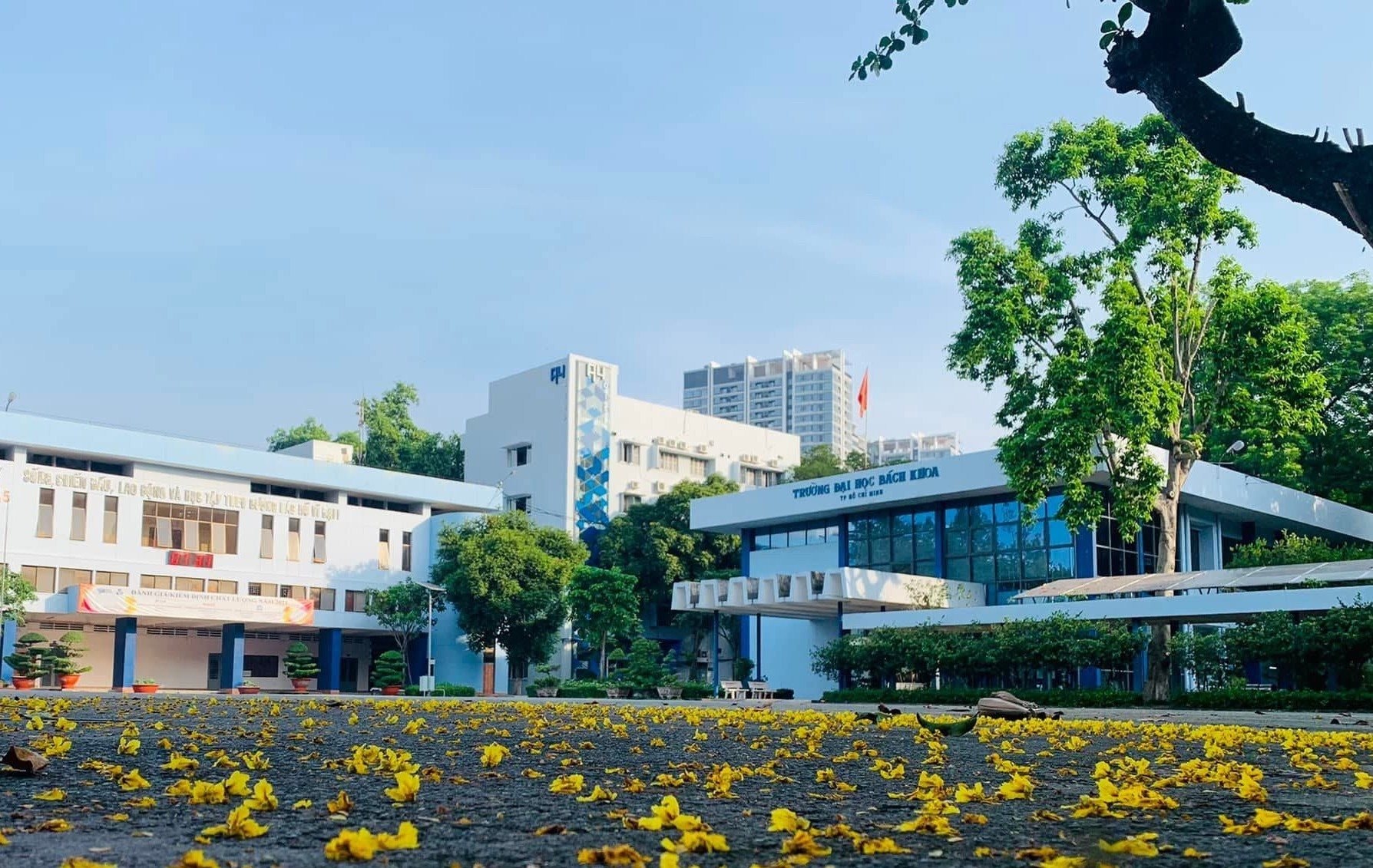 Bach Khao 17730621608471559116994 1773066874012 1773066877809367481288