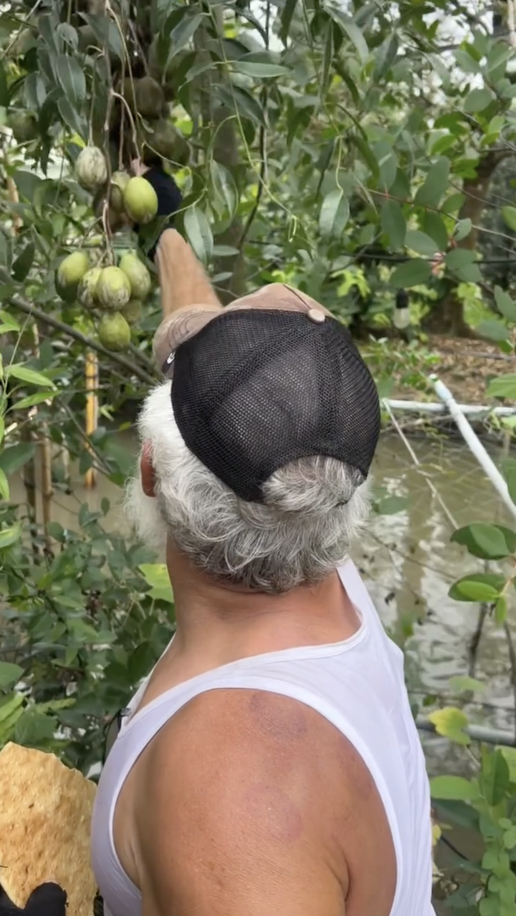 Khách Tây tấp vào nhà dân Đồng Tháp ăn uống no say rồi tá hỏa khi bị lôi ra bắt may đồ trả công - Ảnh 6.