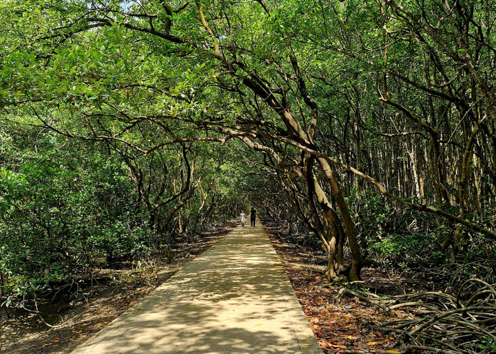 Vingroup đề xuất mở đường Rừng Sác lên 10 làn xe, nối đến khu đô thị Cần Giờ- Ảnh 4.