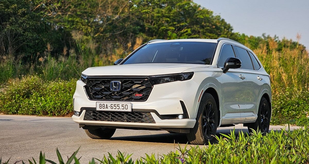 Xe hybrid ở Việt Nam từ giá 'hết hồn' thành cạnh tranh 'hết ga hết số' - điều gì xảy ra? - Ảnh 2.