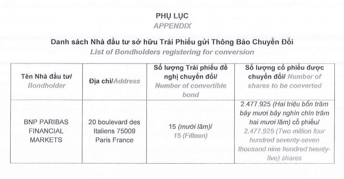Novaland phát hành 2,4 triệu cổ phiếu chuyển đổi cho trái chủ nước ngoài - Ảnh 1.