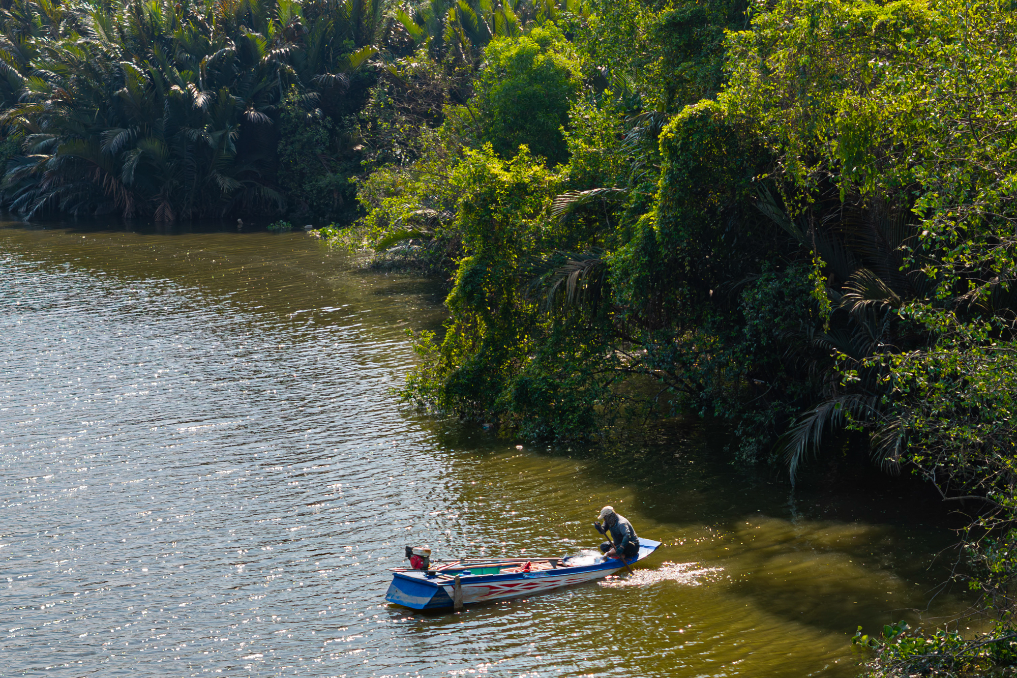 Toàn cảnh khu đất 187 ha toàn dừa nước, cỏ dại đang được Sun Group rót 6 tỷ USD để biến thành siêu đô thị ở TP.HCM- Ảnh 11.