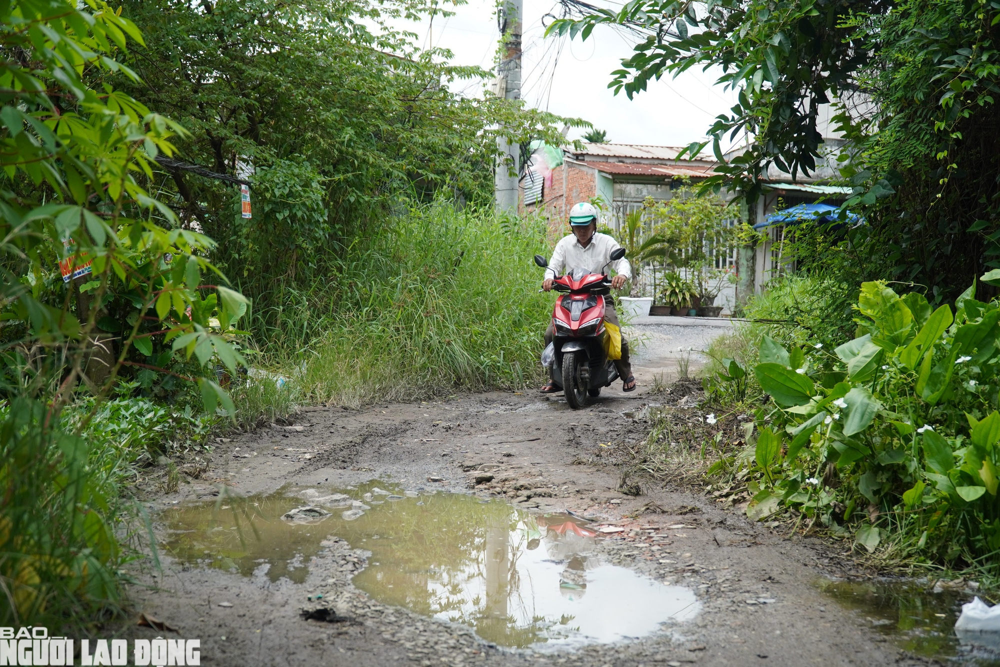 Đầu tư gần 19 . 400 Tỉ đồng cho đại lộ Võ Văn Kiệt kết nối TP . HCM và Tây Ninh - Ảnh 10.