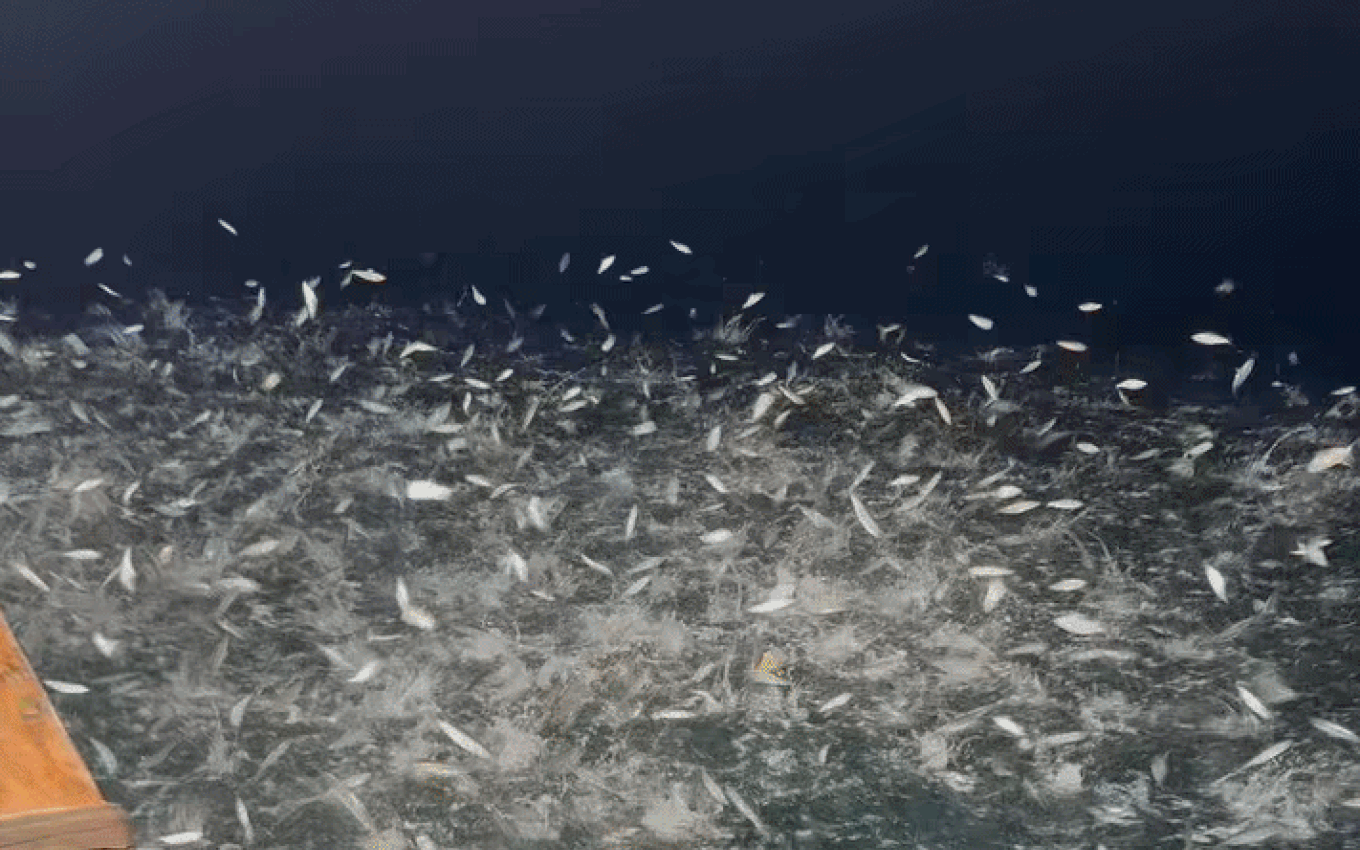 Một địa phương được ví là “Hạ Long trên cạn” vừa kiếm hơn 10.000 tỷ từ du lịch: Sở hữu 5.000 di tích, có cả "báu vật di sản" ai đến cũng mê - Ảnh 6.