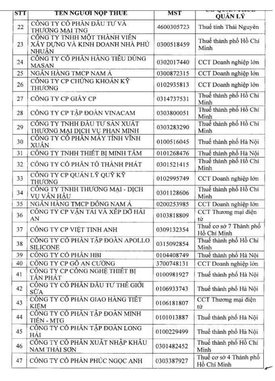Cục Thuế công bố danh sách 108 doanh nghiệp trong kế hoạch kiểm tra năm 2026: Có những doanh nghiệp lớn nào? - Ảnh 3.