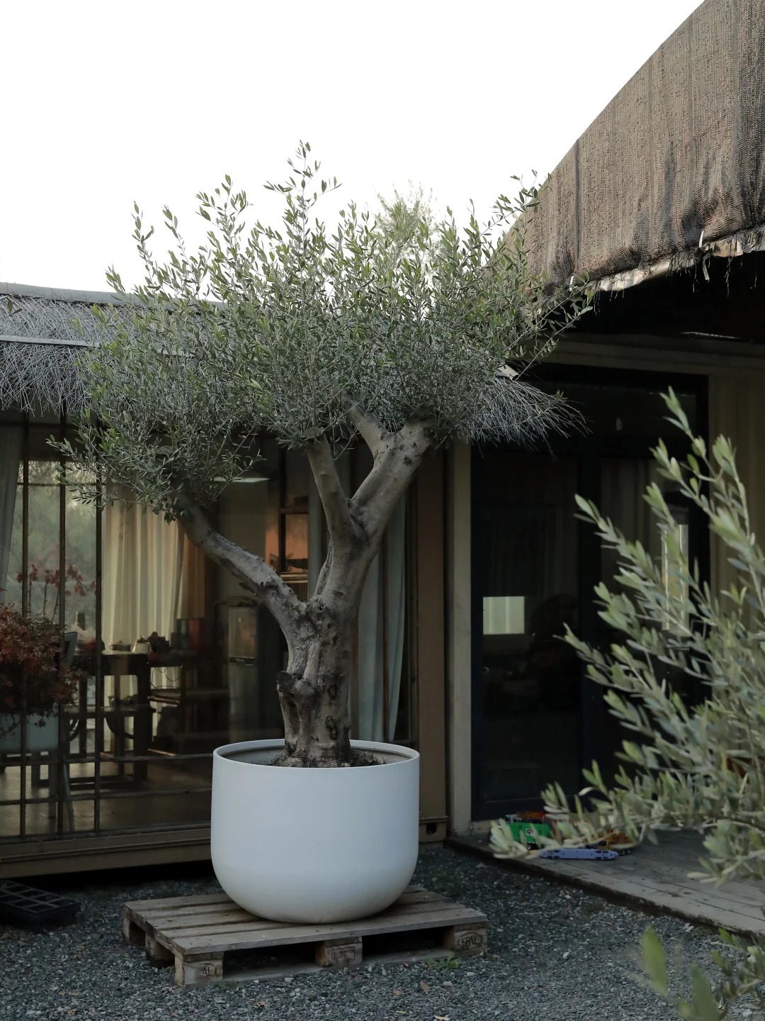 MC xinh nhất VTV ở biệt thự 9 tầng: Không khoe mà vẫn lộ gu giàu có qua một chi tiết nhỏ - Ảnh 3.